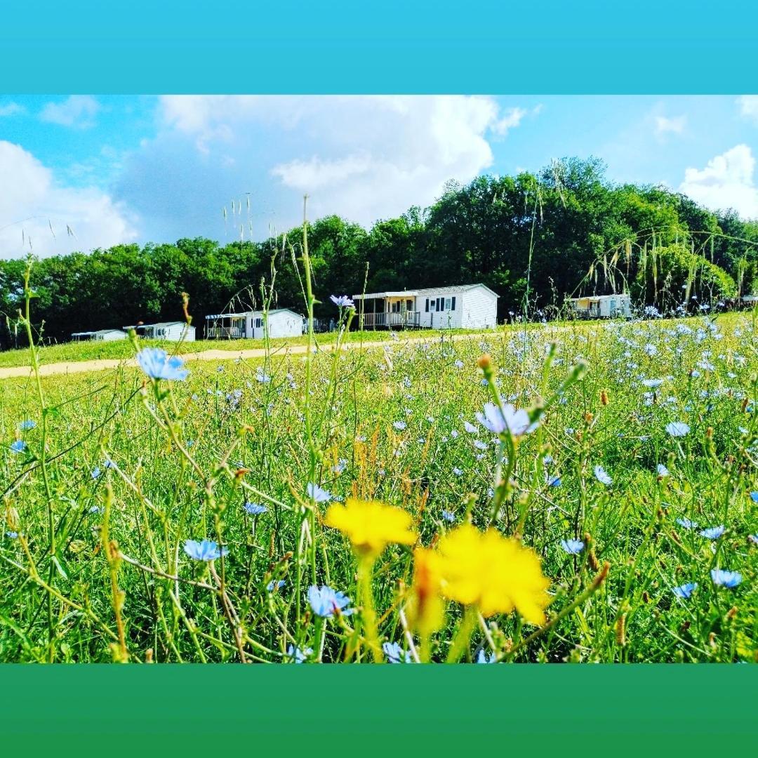 Camping Nature Le Valenty Mobil-Home-Dordogne Panoramique Clim Piscine Soturac Buitenkant foto