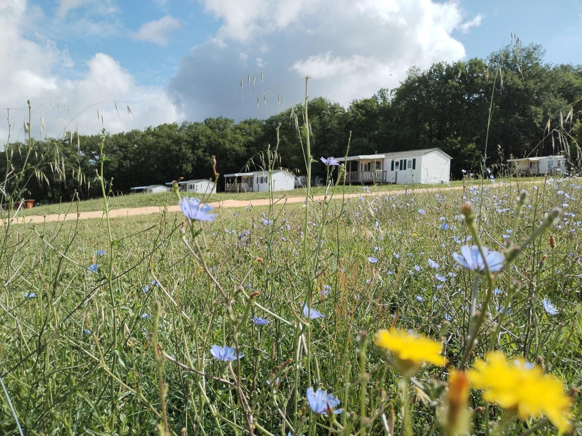 Camping Nature Le Valenty Mobil-Home-Dordogne Panoramique Clim Piscine Soturac Buitenkant foto