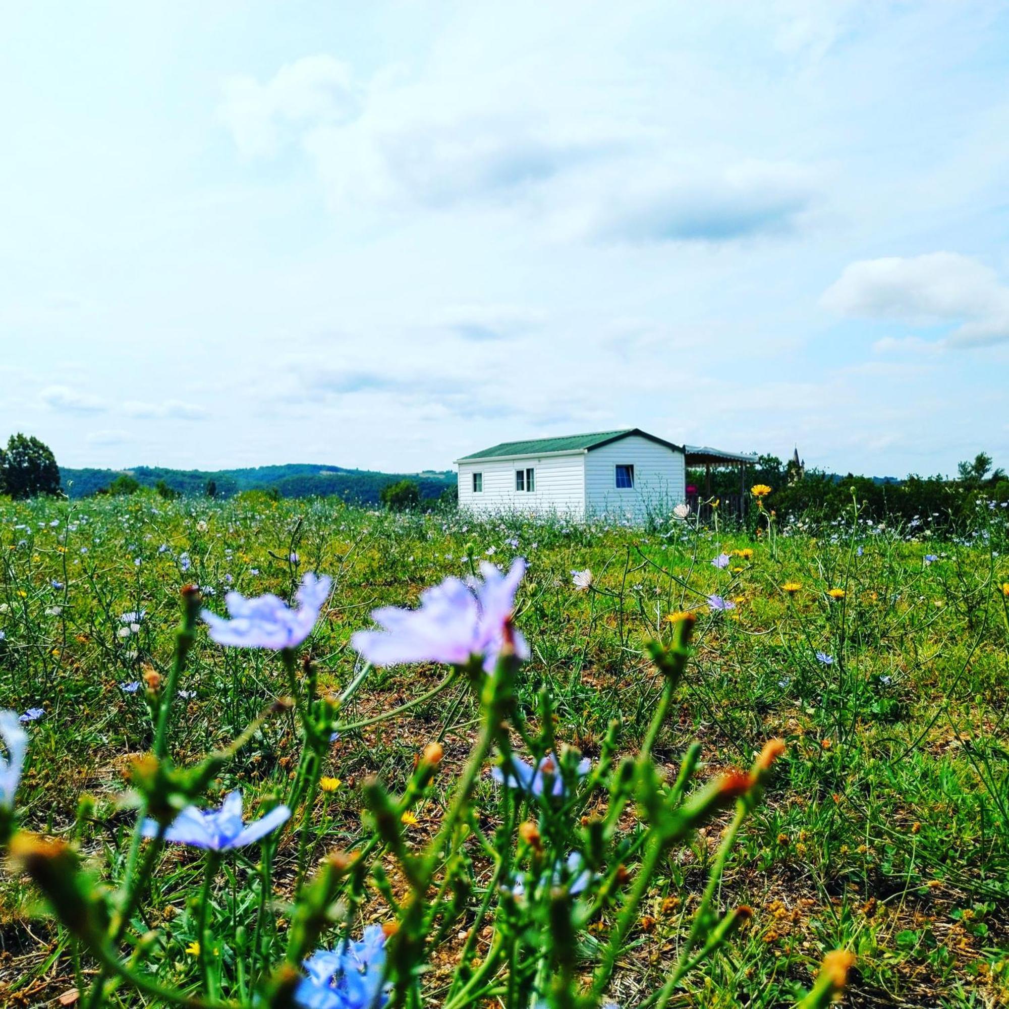 Camping Nature Le Valenty Mobil-Home-Dordogne Panoramique Clim Piscine Soturac Buitenkant foto
