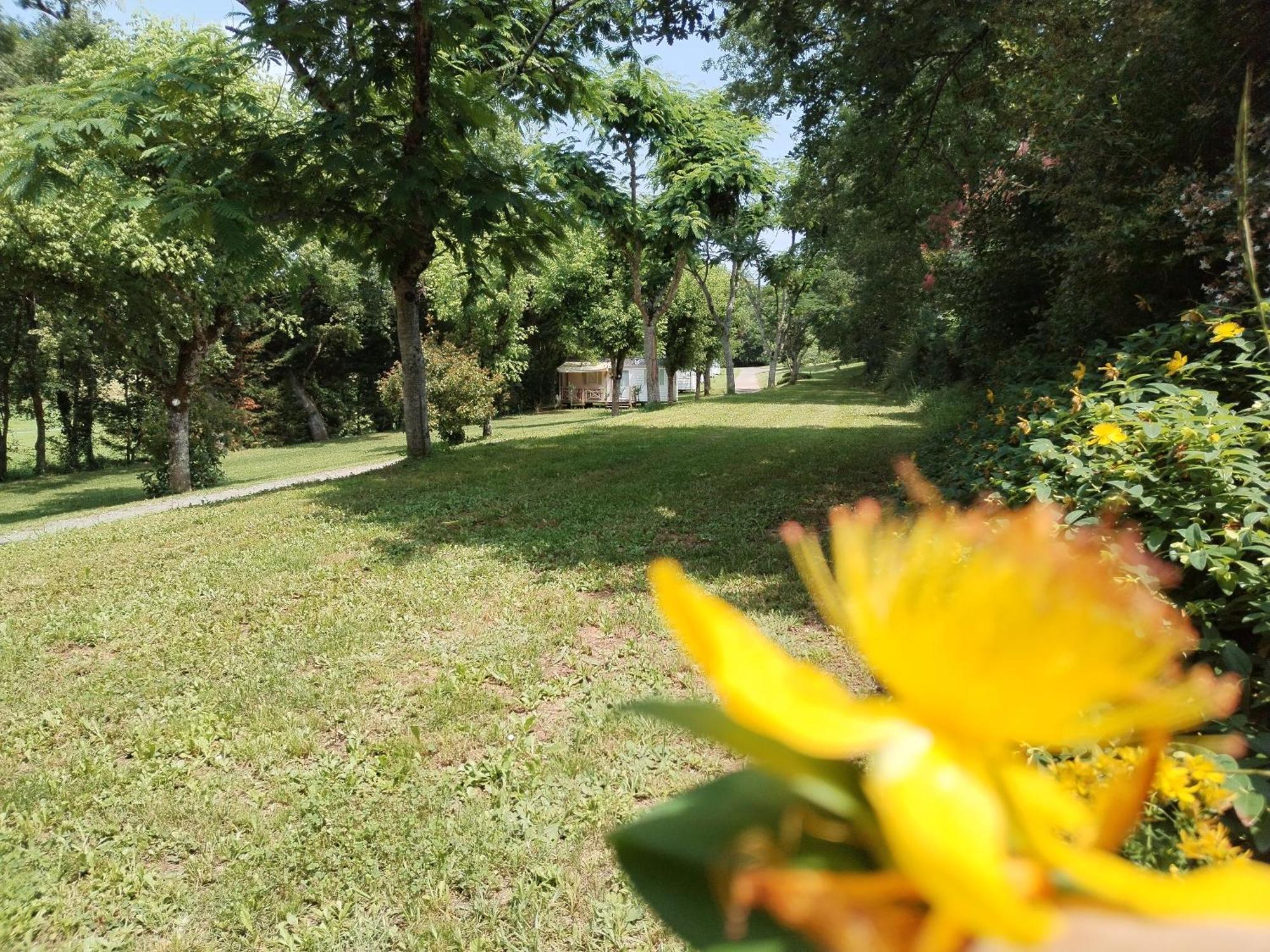 Camping Nature Le Valenty Mobil-Home-Dordogne Panoramique Clim Piscine Soturac Buitenkant foto