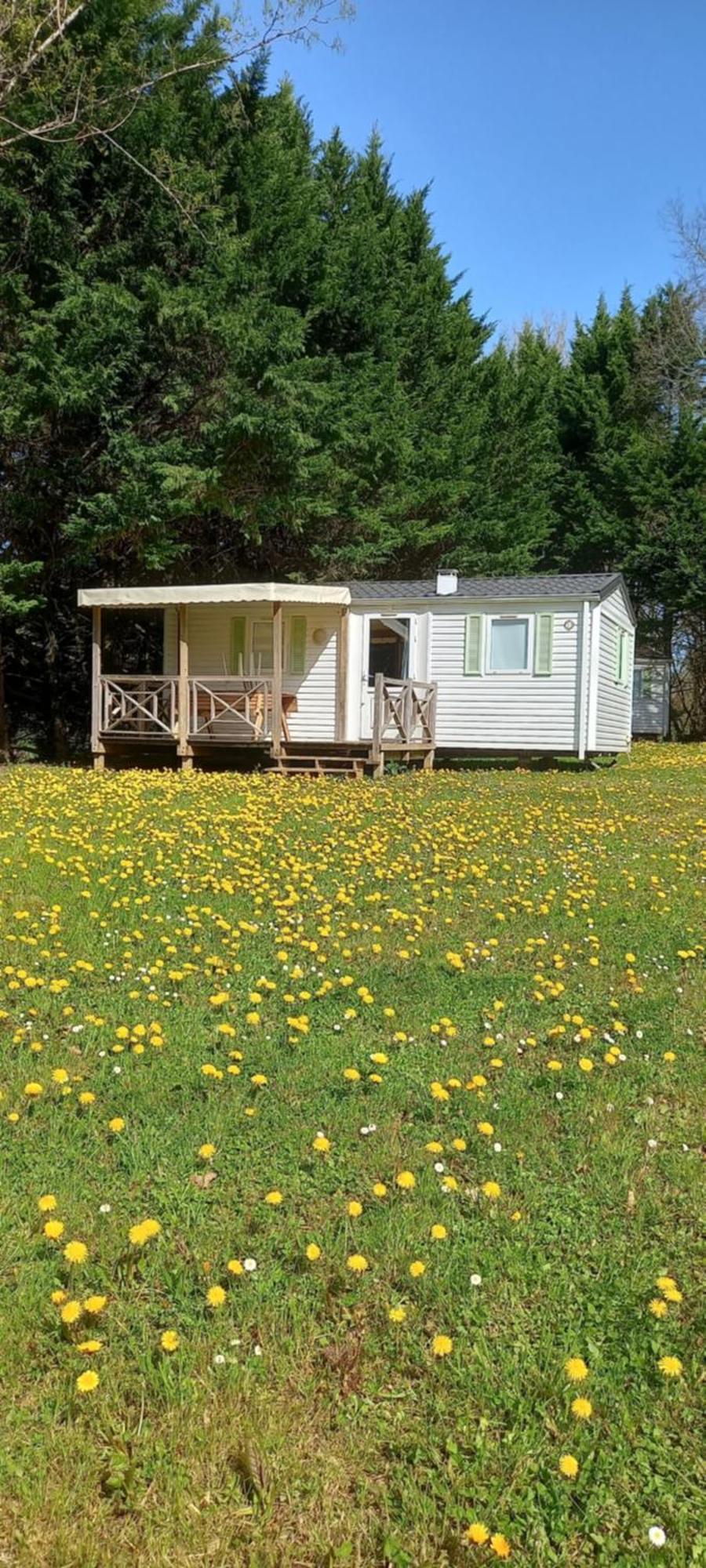 Camping Nature Le Valenty Mobil-Home-Dordogne Panoramique Clim Piscine Soturac Buitenkant foto
